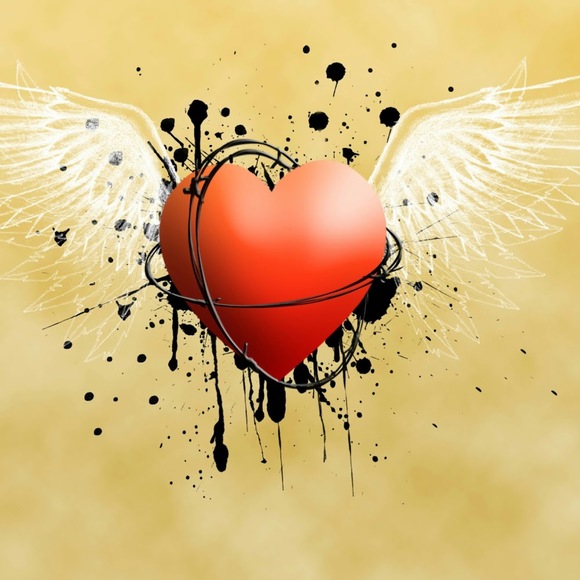 Meet your Posher, Mousa - Picture 1 of 1